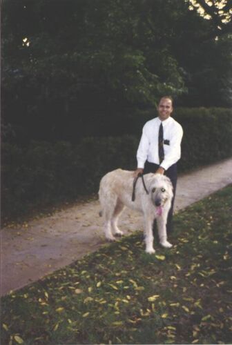 We saw this dog from our 1036 S Marengo pad in South Pasadena. I had never seen a dog this big. It's supposed to be one of the largest.
Brian S Armentrout
20 Sep 2005