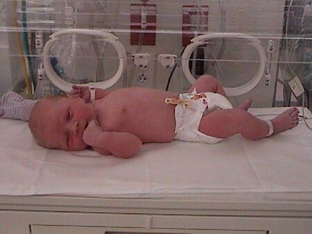 Our new baby.  George Wendell Lamb was born 4th of June at American Fork hospital; weighed 9lbs 11oz.
Christopher  Lamb
05 Jun 2003