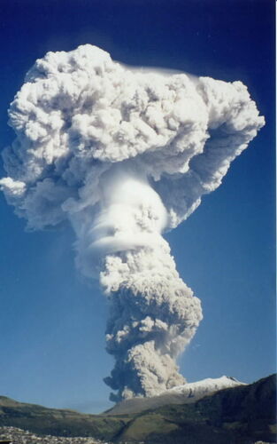 Cuando Se Explotó el Volcán
Dallin  Wood
20 Nov 2001