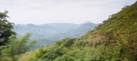 I took this while riding a bus on the main highway somewhere between Tegucigalpa and San Lorenzo.
Ken  Anderton
09 Apr 2003
