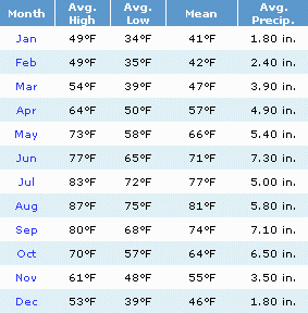 Tokyo Weather