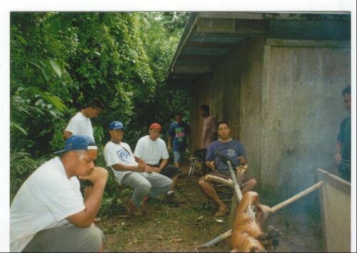 this is us Poly Elders chillin in the back (tunu puaka) roasting pig, forget the turkey!
Kinania F Fangupo
17 May 2003