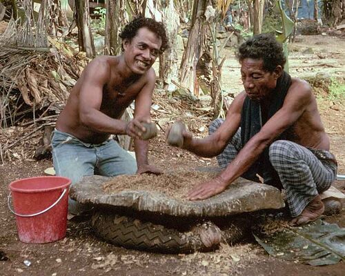 Making sakau in Kolonia 10-1982.
David  Johnson
29 Apr 2004