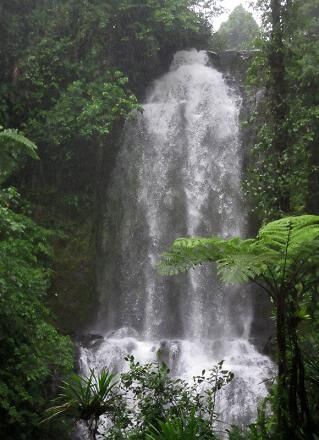 Liduduhniap Twin Waterfalls, Pohnpei
BRANDON THOMAS LINDLEY
01 Jan 2007