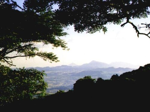 Mountain View, Zomba Plateau, Malawi
Andrew U. Ikponmwonba
21 Aug 2002