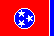 Tennessee Knoxville Flag