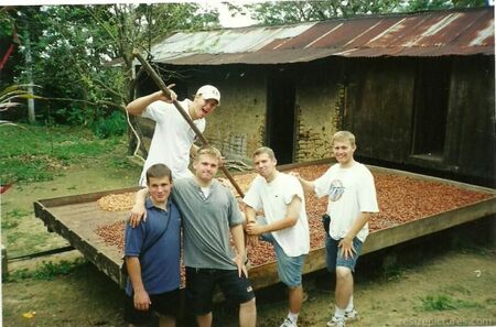 1999/2000 - Donde hacen el cacao.
Max  Ward
11 Aug 2011
