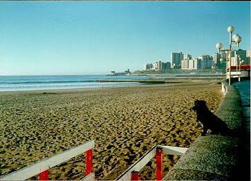 Nice shot of the beach with a little dog in the foreground.
David Lewis
16 Aug 2005