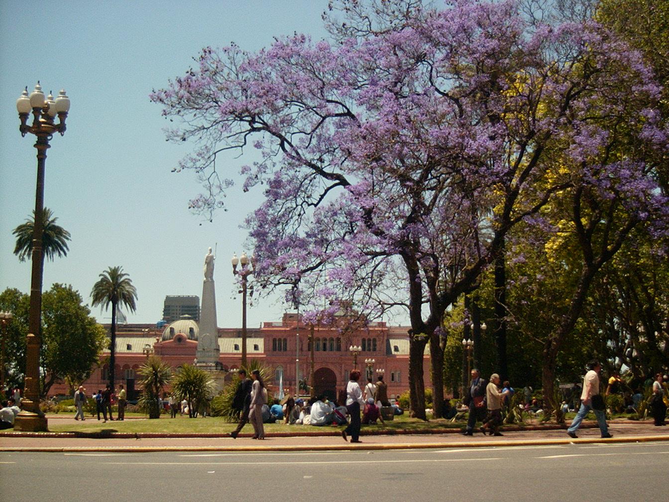 Plaza de Mayo