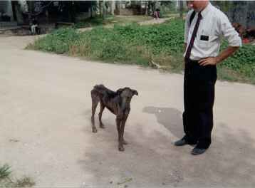 One of the many sarna dogs that inhabit the dusty roads of Argentina.
Joshua  Frazier
19 Jan 2005