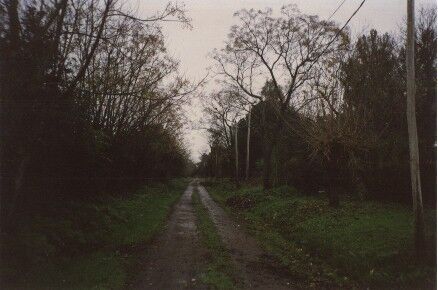 Forested and muddy roads in Pontevedra
Philip Larkin Waters
23 Aug 2011