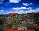 Uluru from a distance