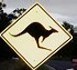 Traffic sign to beware of kangaroos