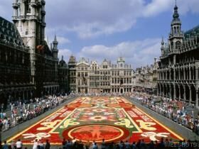 A picture of the carpet of flowers in Brussels
Randy  Van Horn
12 Nov 2002