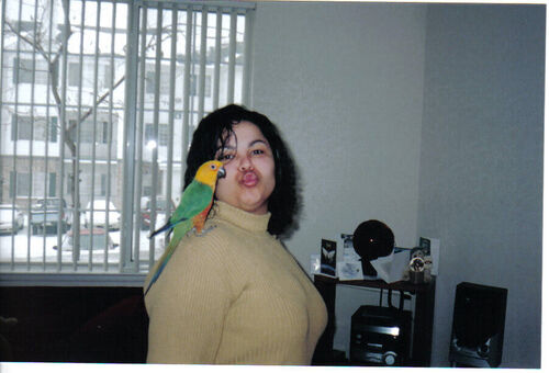 my cute bird... ;)
Ana Patricia Alves
09 Jan 2004