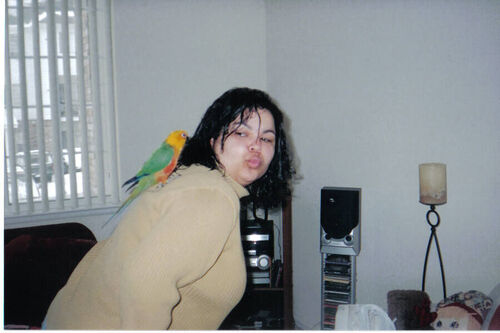 my cute bird Braze...
Ana Patricia Alves
09 Jan 2004