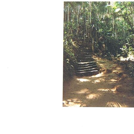 Stairs leading to the 