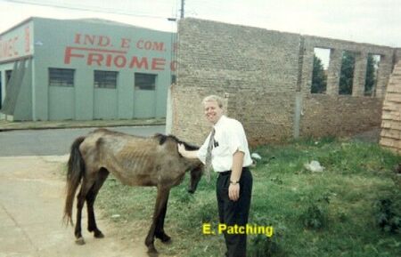 E. Patching acariciando o gado saudavel de Aracatuba.
Lyle Richard Nielsen
21 Nov 2003