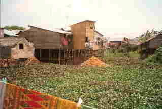 Hut In cambodia
Vinney Todd Tolman
07 Nov 2007