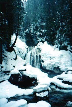 These falls are on the road from Salmon Arm to Revelstoke. Submitted by Bob Pipes
Richard Funk
10 Nov 2003