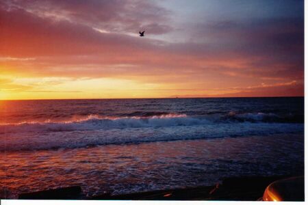 Sunrise looking south at a Beach near Metchosin Rd. In Langford on Vancouver Island
William Bradford York
24 Jan 2004