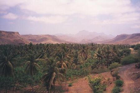 This is one of the greener areas of Santiago.  There are numerous banana and coconut trees on the island.
Darin  DeMille
20 Nov 2002