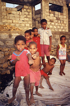 Meninos de Sao Filipe, FOGO
Mark Homer Coulam
23 Jul 2003