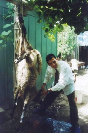 De vuelta a la ley de Moises, segui fielmente el sacrificio de las primicias del campo.
Alejandro  Cifuentes
18 Jul 2006