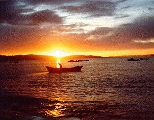 Atardecer en Ancud. Julio, 1985.
Roberto  Rubilar
02 Jun 2006