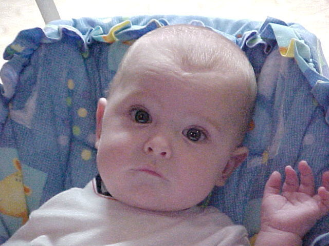 Here's little Justin at in September.  He's just like his daddy, except he's got a little more hair.
Justin R Young
23 Jan 2002