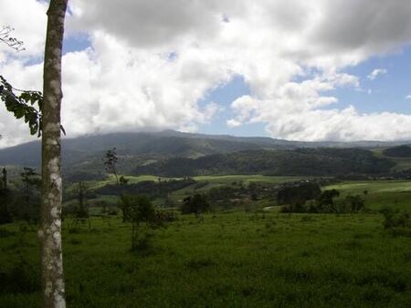 Mountain near San Carlos
Roger King Hadley
16 Feb 2004