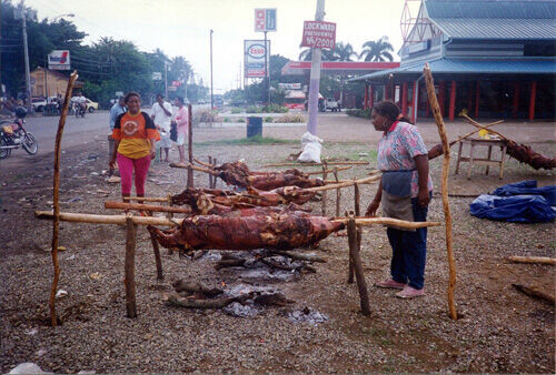 Vendedores de puercos en Santiago, el 25 de Diciembre, 1995. Dominos Pizza esta por atras.
Michael  Robertson
24 Jan 2002