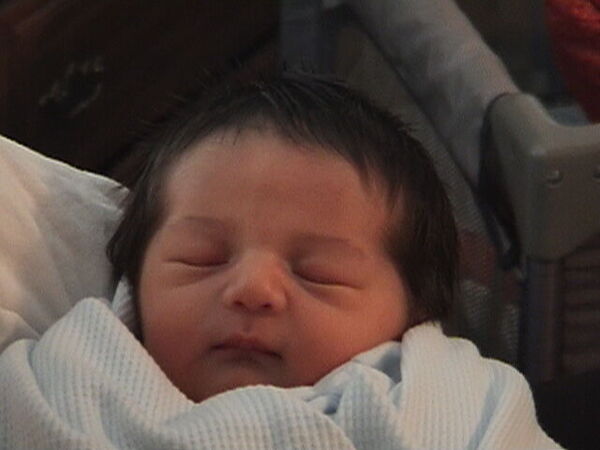 Newest member of the Nielsen family.
Jayson Joseph Nielsen
25 Feb 2004