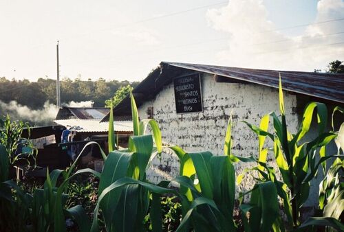 The chapel at racana, before the Church built a new one.
Brendon M Melander
10 May 2004