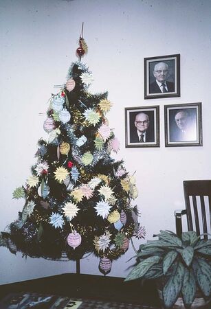 Christmas 1982. Tree decorated with mission baptisms.
Phillip  Vogt (Weyers)
25 Sep 2006