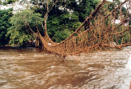 Rope bridge near Man
Nathan Bohus Stastny
30 Jan 2002