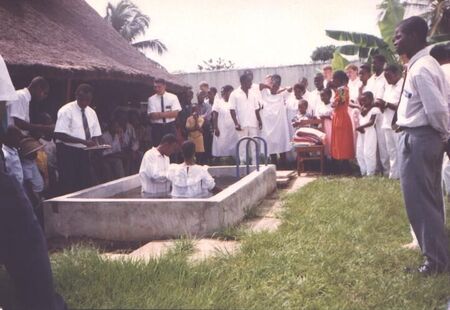 Elder Tshimwanga du Zaire is performing the baptism.  Elder Brothers de Tahiti is behind him.
Korey Payne
22 Apr 2002