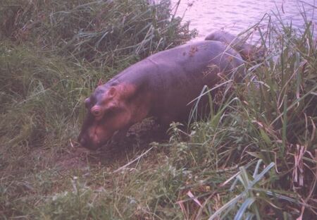 Yea, preach unto every creature...
Korey Payne
22 Apr 2002