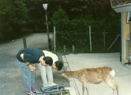 Escobedo and I showing respect to the Nara deer.
Stephen  Templin
30 May 2006