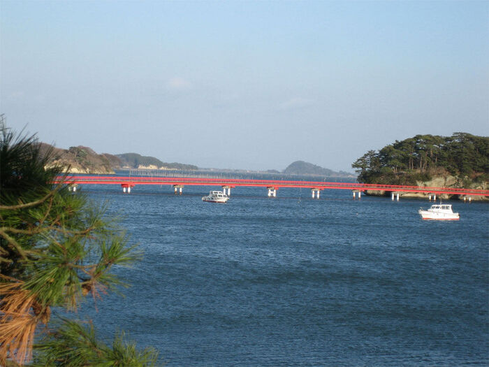 Taken at Matsushima, March 2006
Trevor Lane Newcomer
07 May 2006