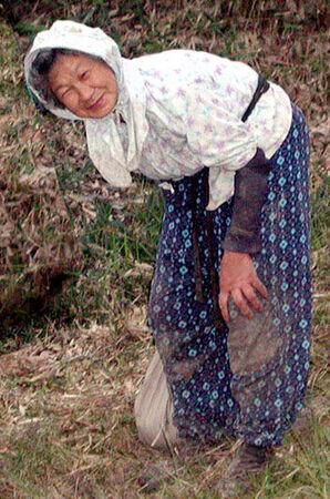 Everyone at some time had to have met one of these wonderful Japanese woman.  The sweet obachan! ©2001 Dave Ahlman
LDS Mission Network
05 Mar 2004