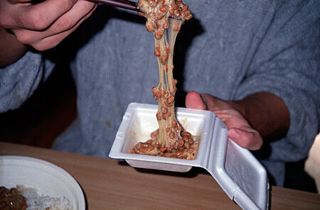 I believe this photo sums up much of the character of natto, the item of food so many people love to hate. My companion Elder Omine is shown here preparing this delicacy for breakfast in Abiko, October 1998.
Michael G. Allred
25 Oct 2004