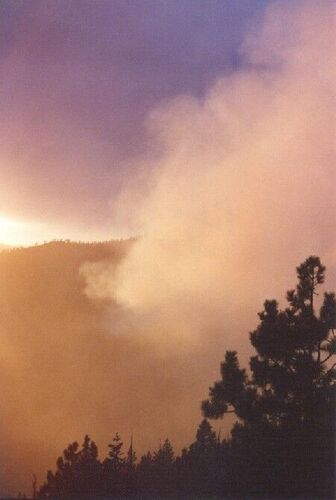 Tahoe Sunset with Forest Fire
Joseph Emanuel Weinberg
12 Feb 2003