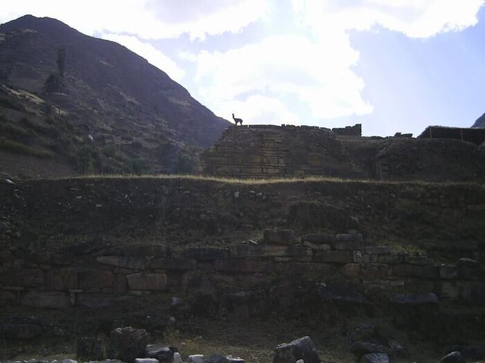 Camino a Chavín de Huanta
Liliana Raquel Puma Dilts
17 Sep 2006