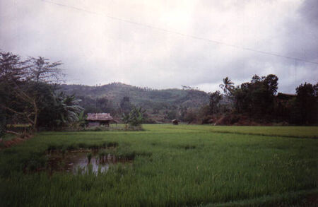 Sikayab, Dipolog City
Adam Holdaway
26 Oct 2006