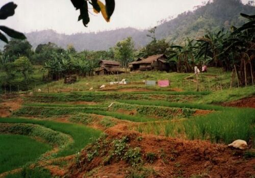 House in Mountains near Bayombong
Joel Longhurst & Matthew Blake
17 Oct 2003