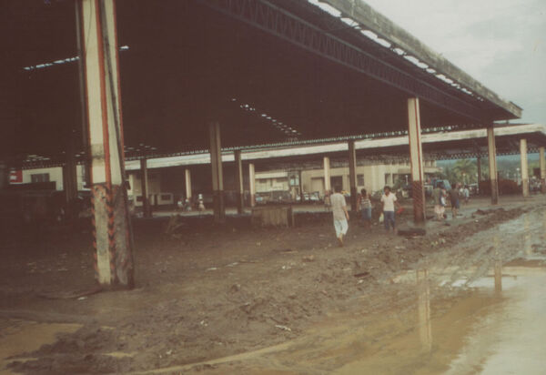 Elder Koch and I tried to get back to Albuera before the storm. We were stuck in a bus at the bus station during the storm. Here's what it looked like a few days later.
Taylor  Stockwell
22 Jun 2005