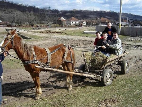 Plictisiti sa mearga pe jos.. s-au gandit sa inchirieze  o 