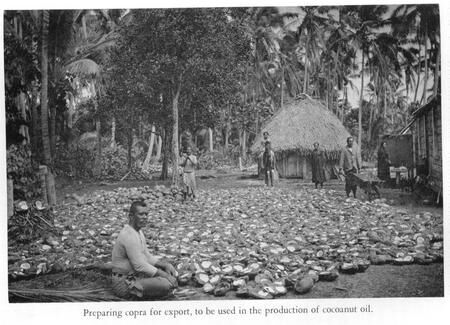 Copra (coconut meat) drying for export from Samoa during Pres. Moody's time - 1908.
Tracy Wilson
06 May 2003