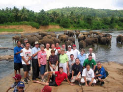 Sri Lanka Zone - July 2003 - Visiting the elephant orphanage at Pinnawela.
Anne  Bown
09 Jan 2005